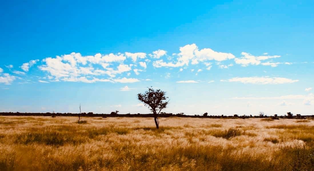 Farm Ranch in Gobabis, Omaheke Region, Namibia 3 - 15091099