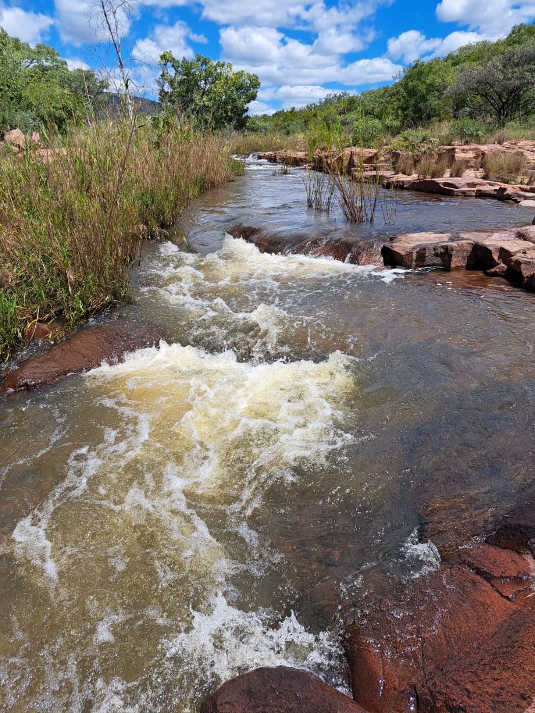Farm Ranch in Lephalale, Limpopo, South Africa 2 - 15090941