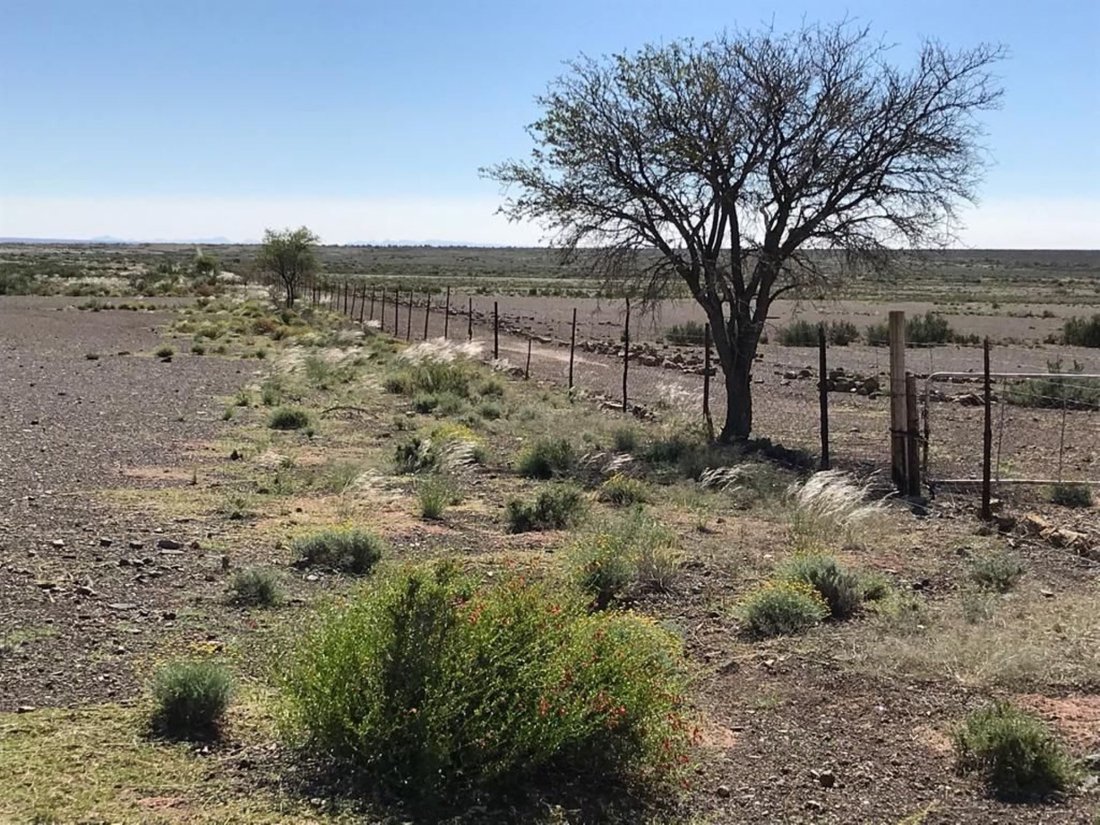 Farm Ranch in Karasburg, Karas Region, Namibia 5 - 15091101