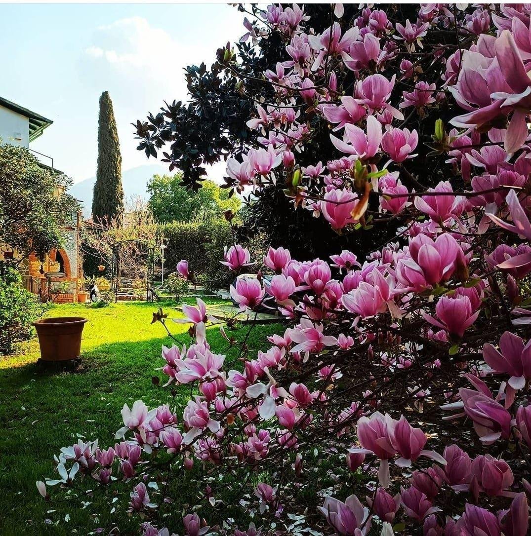 Villa in Stadium - Sant'Antonio - Marasio, Marina di Carrara, Tuscany 2 - 15091793