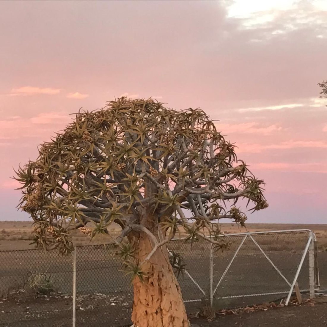 Farm Ranch in Karasburg, Karas Region, Namibia 3 - 15091101