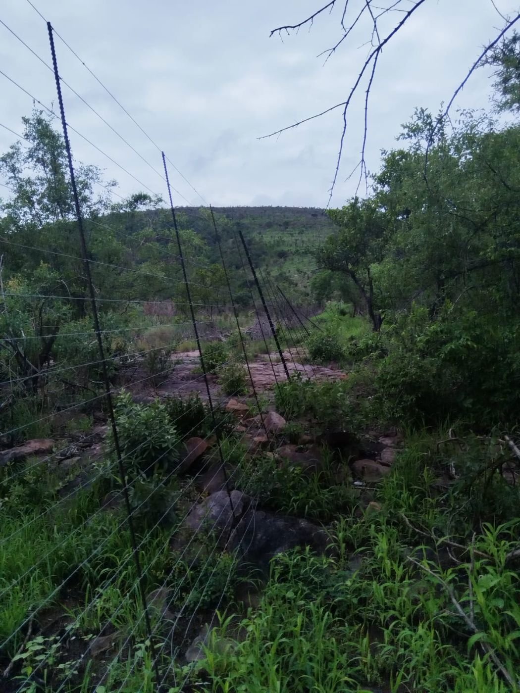 Farm Ranch in Lephalale, Limpopo, South Africa 4 - 15090941