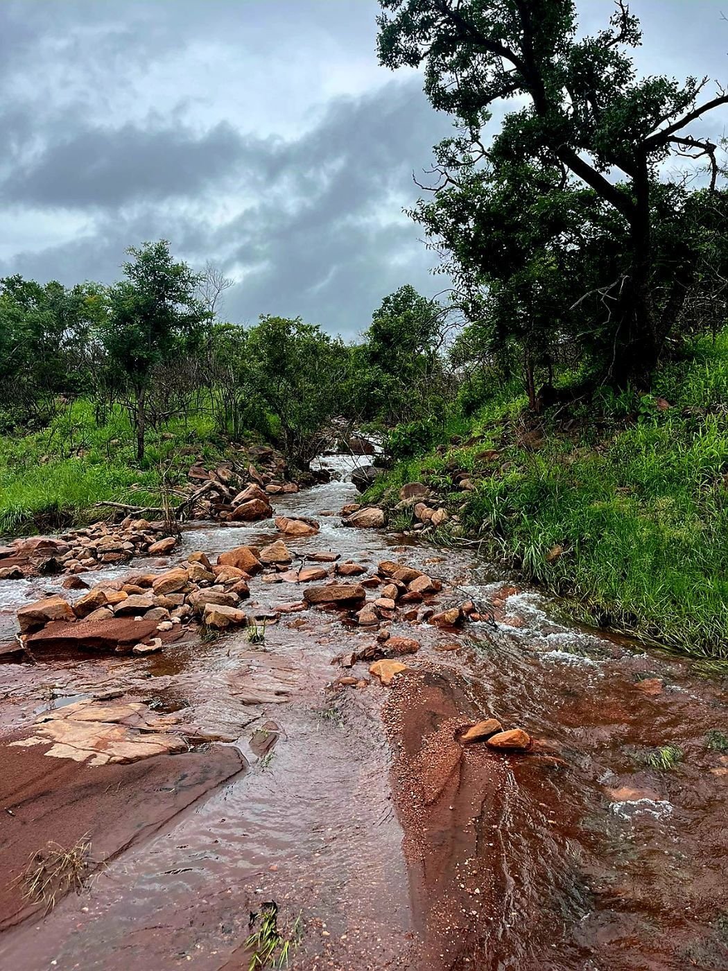 Farm Ranch in Lephalale, Limpopo, South Africa 1 - 15090941