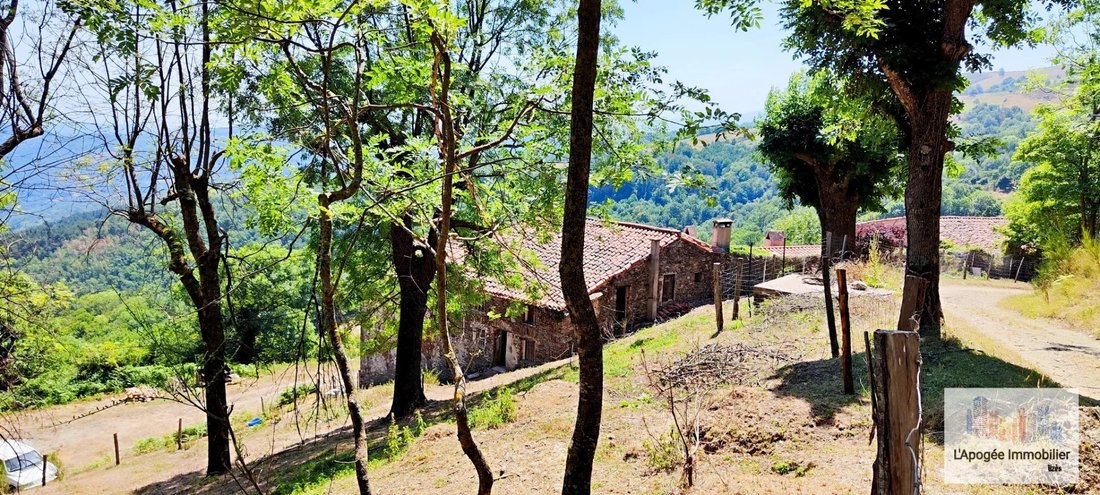 Estate in Ceret, Occitania, France 5 - 12479263