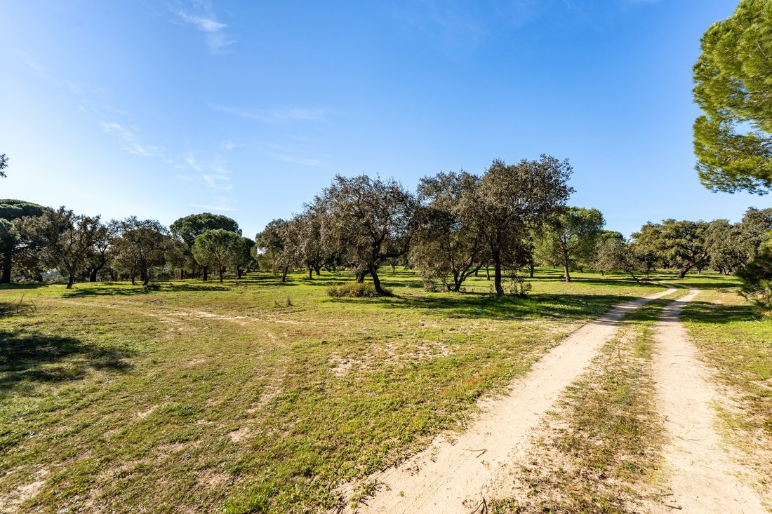 Land in Alcacer do Sal, Setubal, Portugal 4 - 15094686