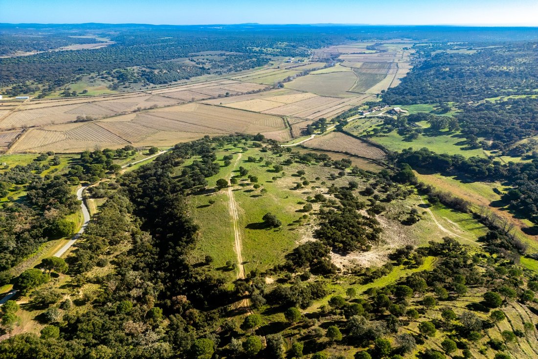 Land in Alcacer do Sal, Setubal, Portugal 3 - 15094686