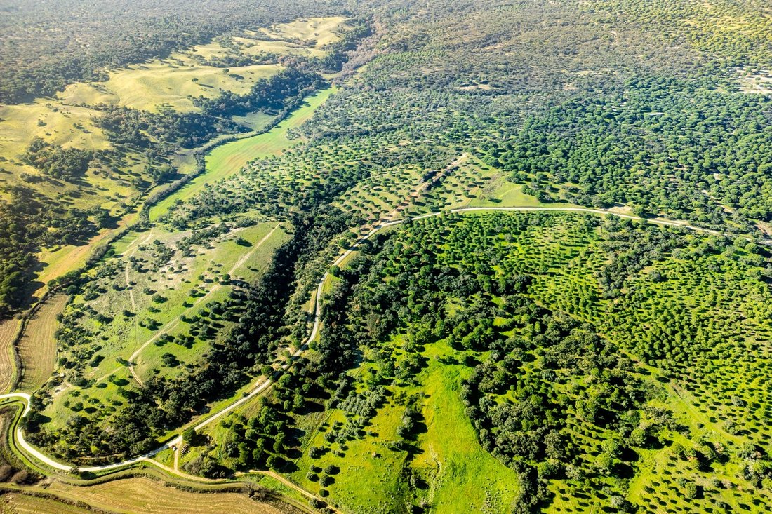 Land in Alcacer do Sal, Setubal, Portugal 1 - 15094686