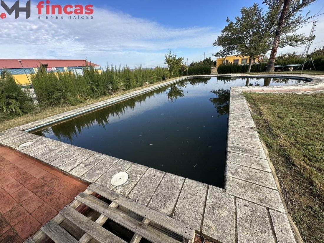 Villa in Villagonzalo, Extremadura, Spain 4 - 15100822