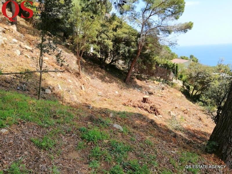 Blanes, Catalonia, Spain 3 - 15100683