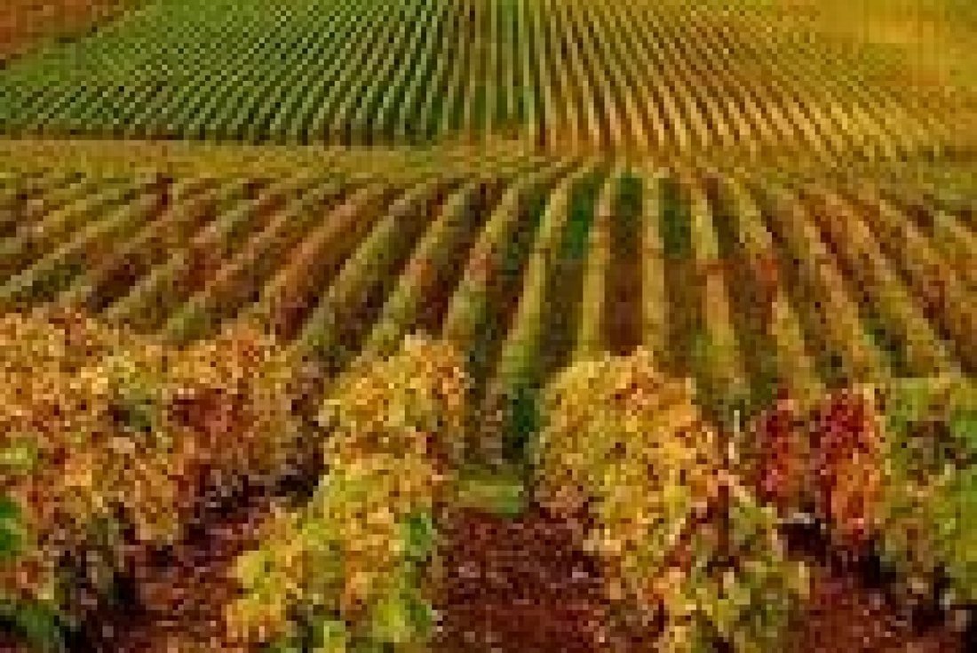 Altro a Villena, Comunità Valenzana, Spagna 4 - 15107575