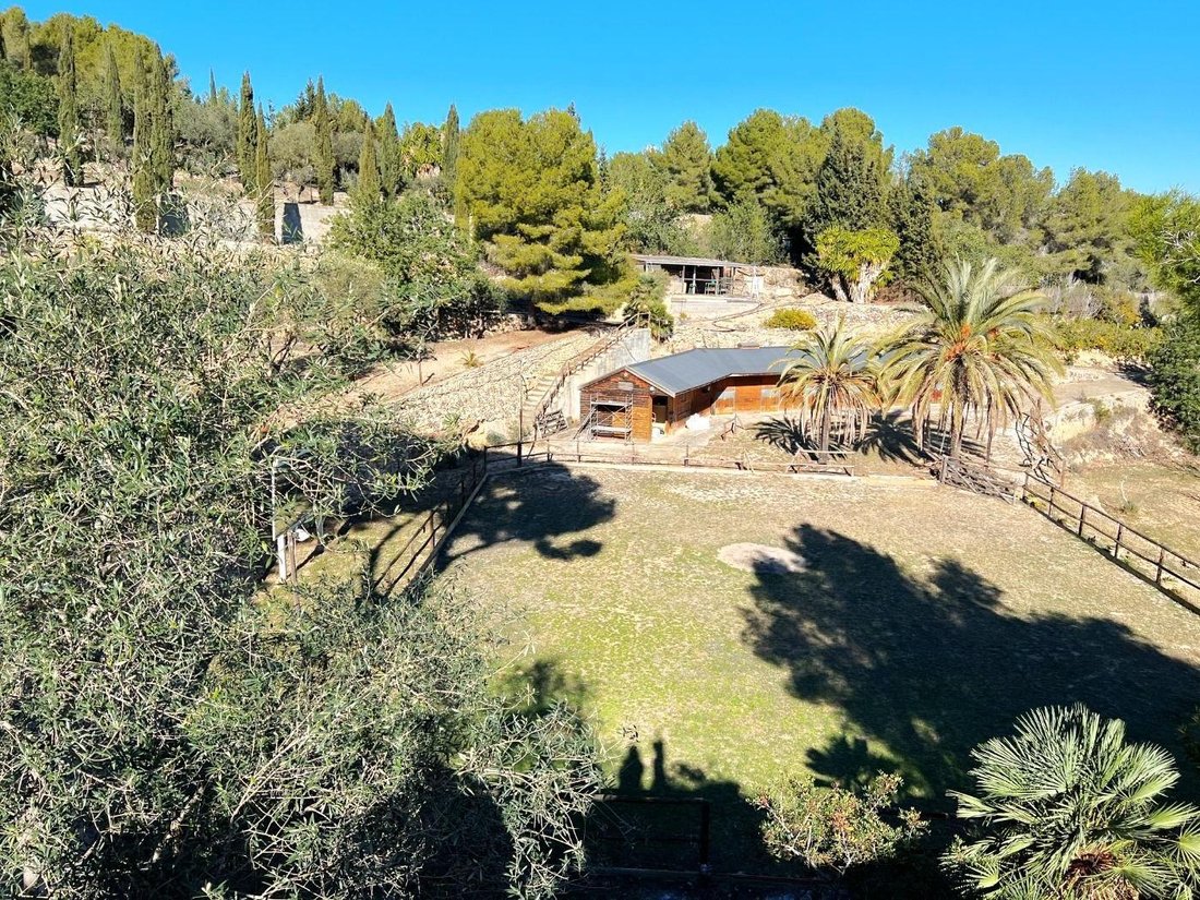 Country House in Albinyana, Catalonia, Spain 3 - 15099395