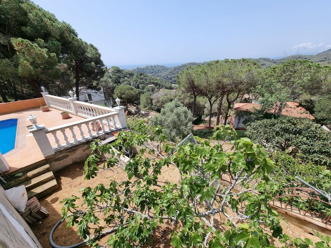 Villa in Lloret de Mar, Catalonia, Spain 2 - 15101259