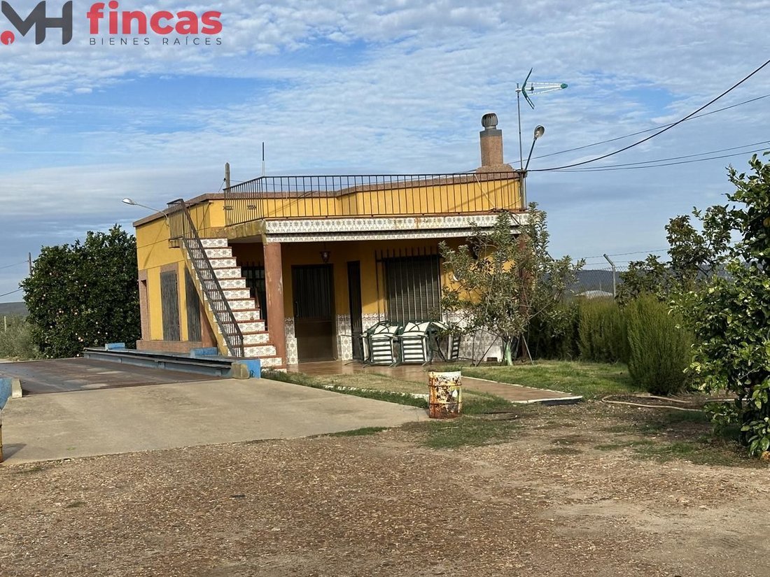 Villa in Villagonzalo, Extremadura, Spain 5 - 15100822