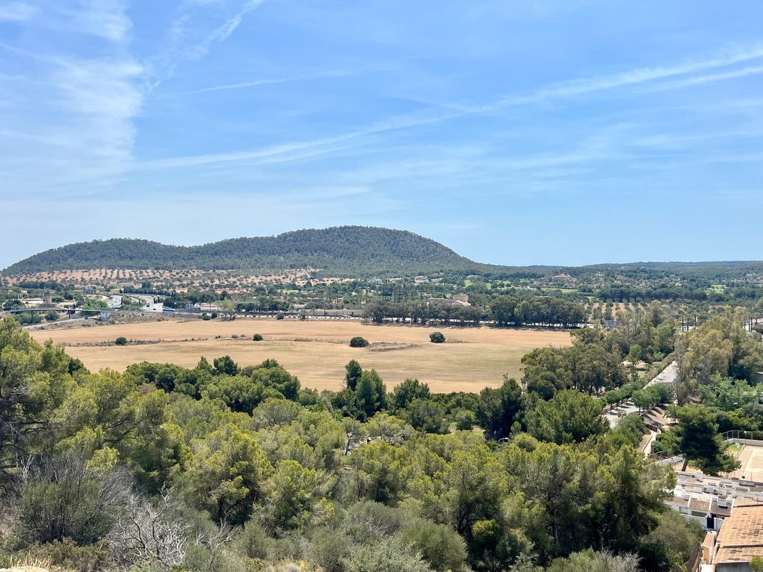 Apartment in Rotes Velles, Calvia, Balearic Islands 5 - 15101037