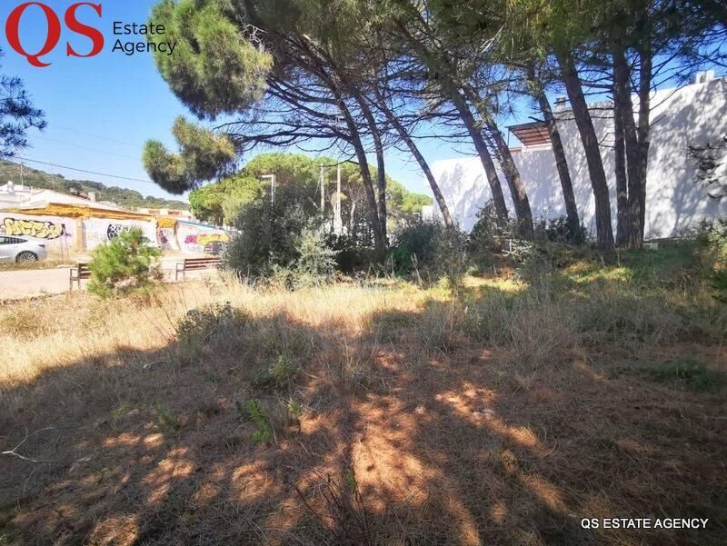 l'Escala, Catalonia, Spain 3 - 15100553