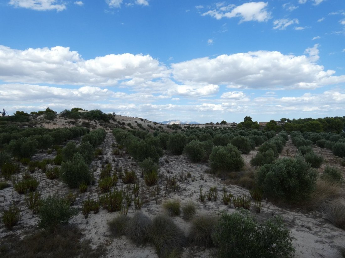 Land in Molina de Segura, Región de Murcia, Spain 2 - 15099946