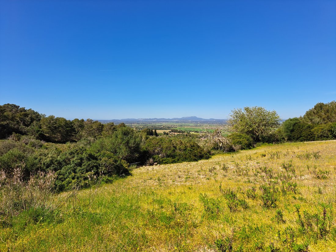 Finca in Manacor, Balearic Islands, Spain 3 - 15111397