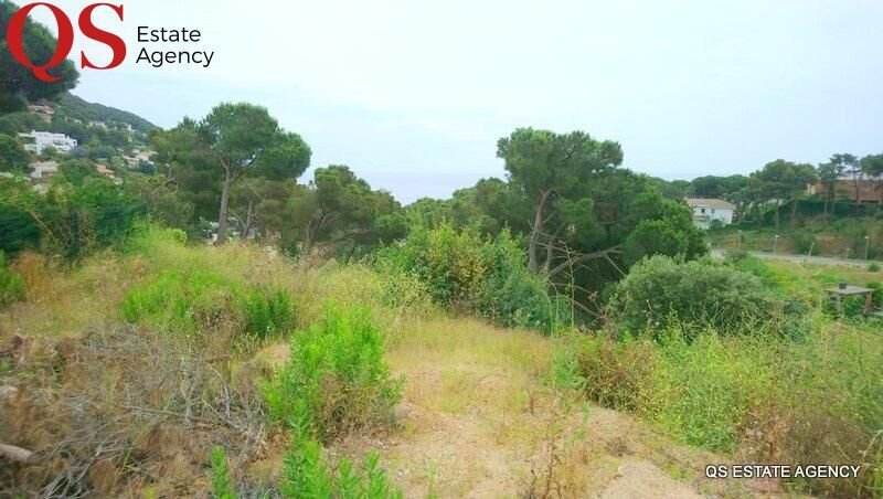 Blanes, Catalonia, Spain 1 - 15100399
