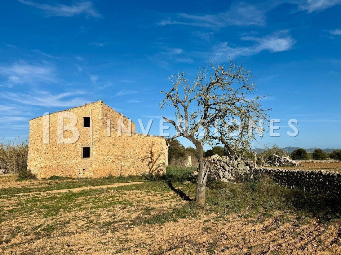 Country House in Felanitx, Balearic Islands, Spain 3 - 15100346