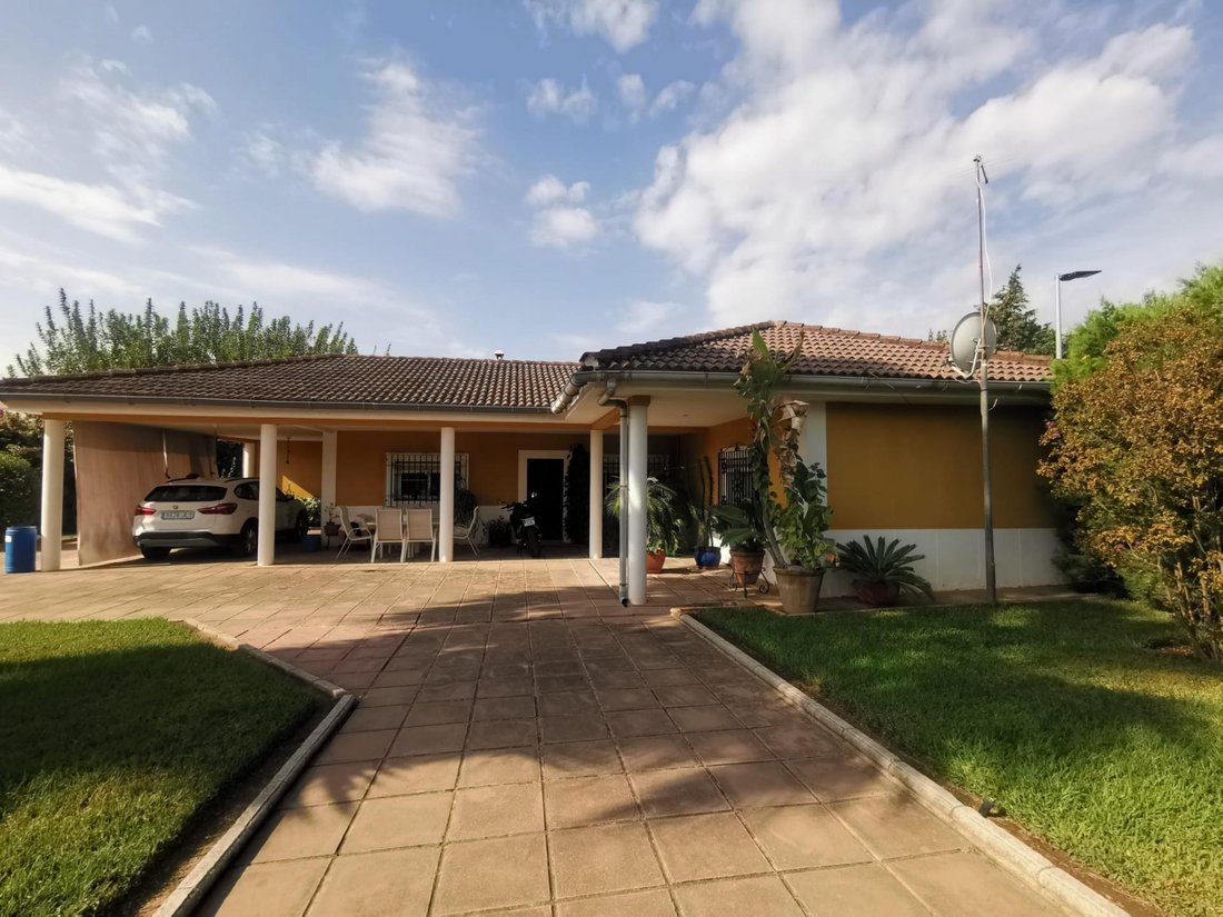 House in Cordoba, Andalusia, Spain 4 - 15101274
