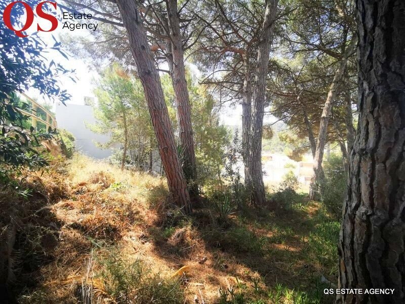 l'Escala, Catalonia, Spain 5 - 15100553
