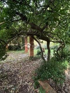 Country House in San Giuliano Terme, Tuscany, Italy 5 - 15102340