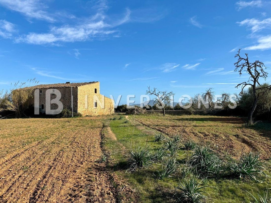 Country House in Felanitx, Balearic Islands, Spain 4 - 15100346