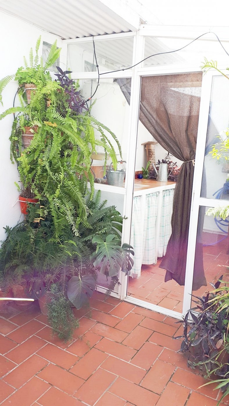 House in Casco Antiguo, Seville, Spain 4 - 15106589