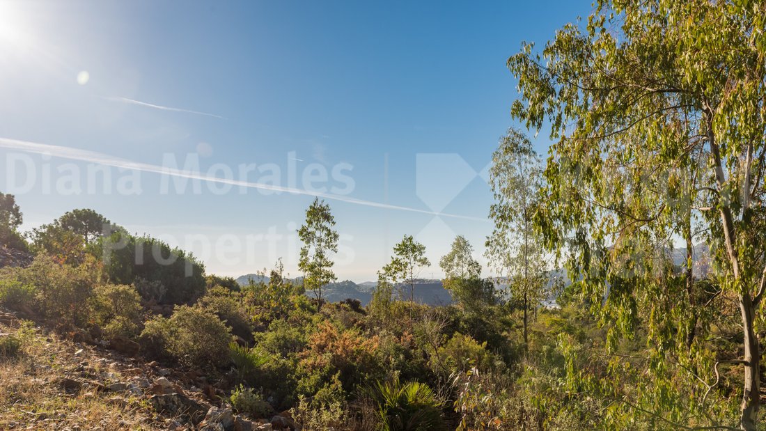 Land in La Zagaleta, Benahavis, Andalusia 5 - 15098463