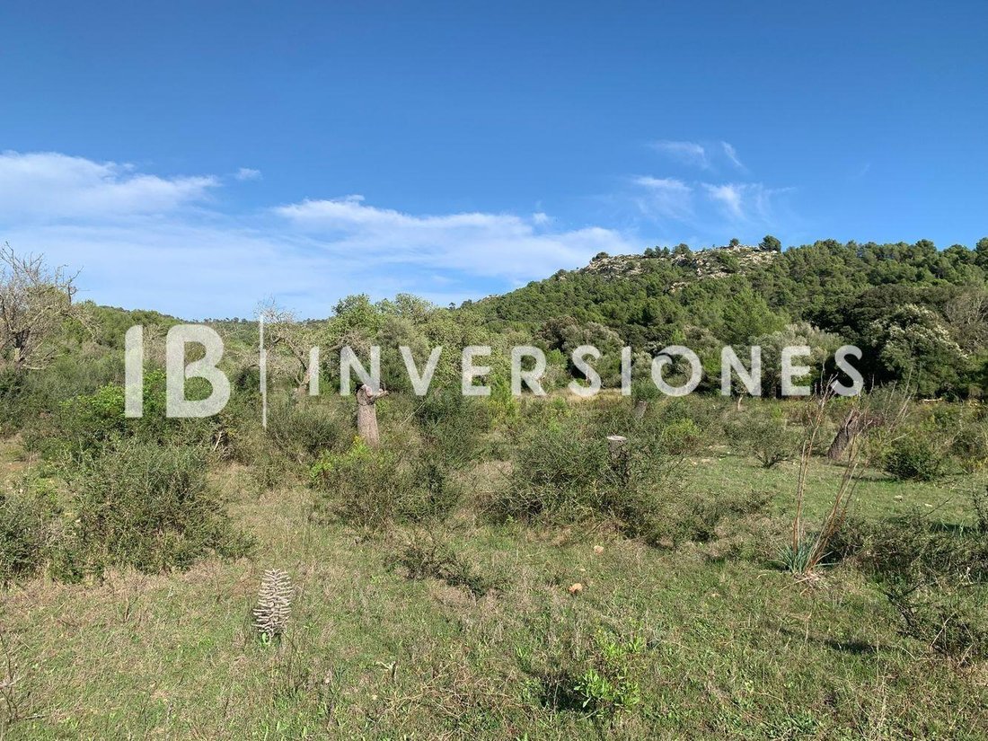 Land in Capdepera, Balearic Islands, Spain 4 - 15100193