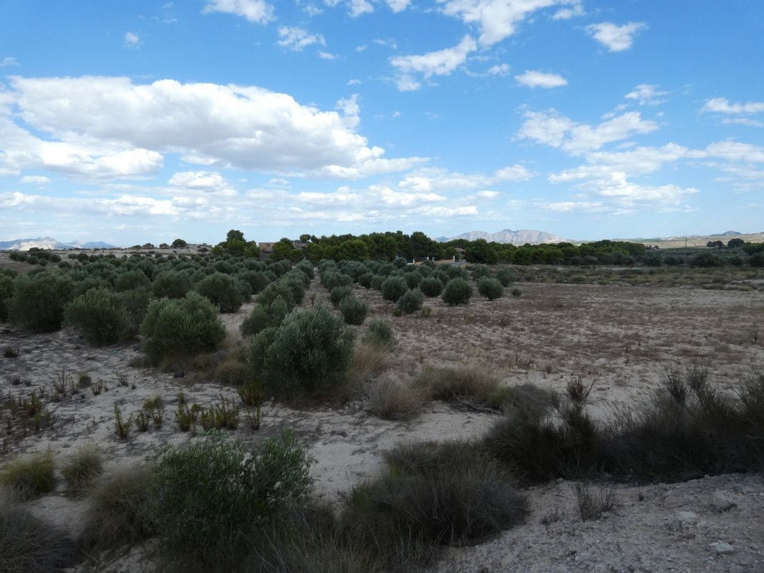 Land in Molina de Segura, Región de Murcia, Spain 1 - 15099946