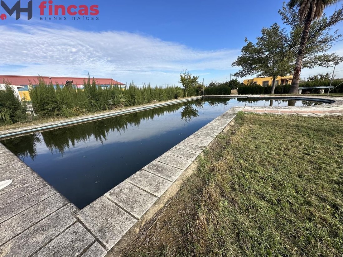 Villa in Villagonzalo, Extremadura, Spain 1 - 15100822