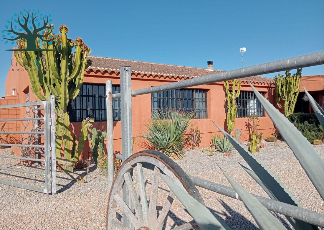 Country House in Canovas, Fuente Alamo de Murcia, Spain 3 - 15101066