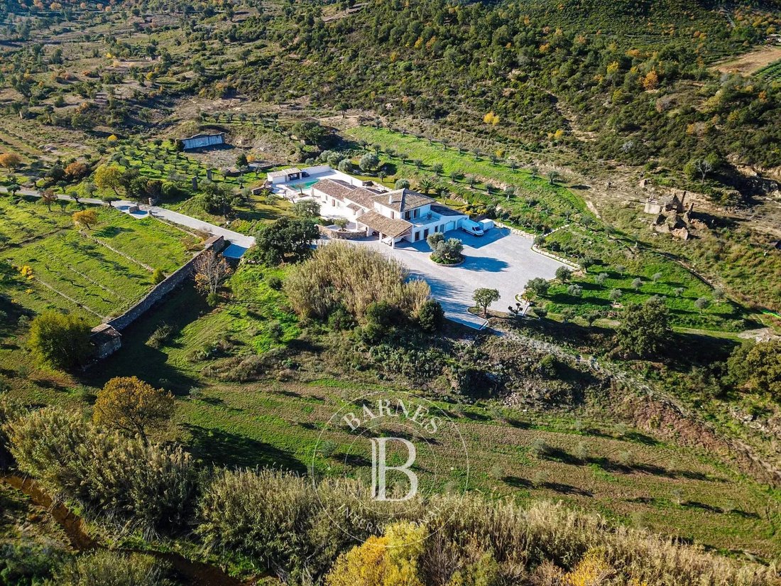 Estate in Le Plan-de-la-Tour, Provence-Alpes-Côte d'Azur, France 5 - 11095144