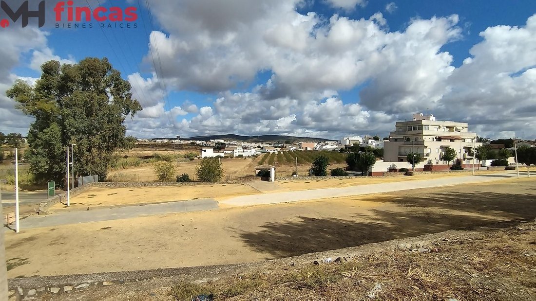 Burguillos, Andalusia, Spain 3 - 15100810
