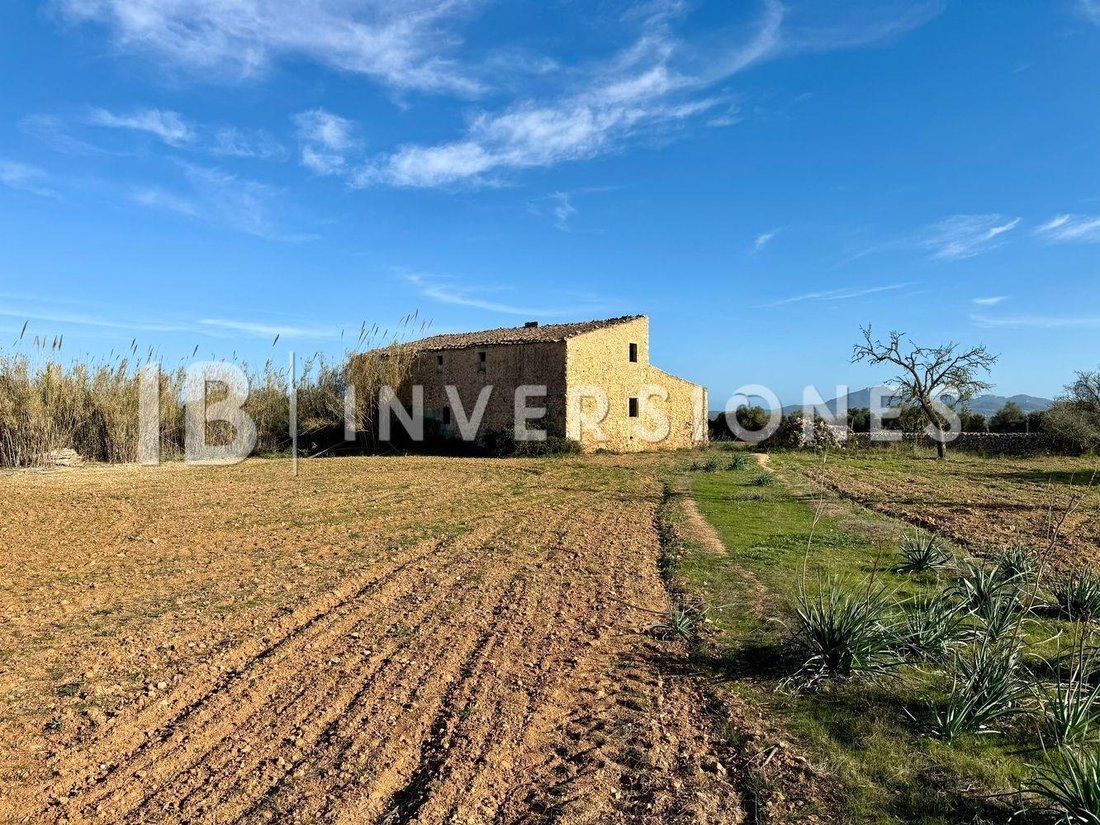 Country House in Felanitx, Balearic Islands, Spain 5 - 15100346