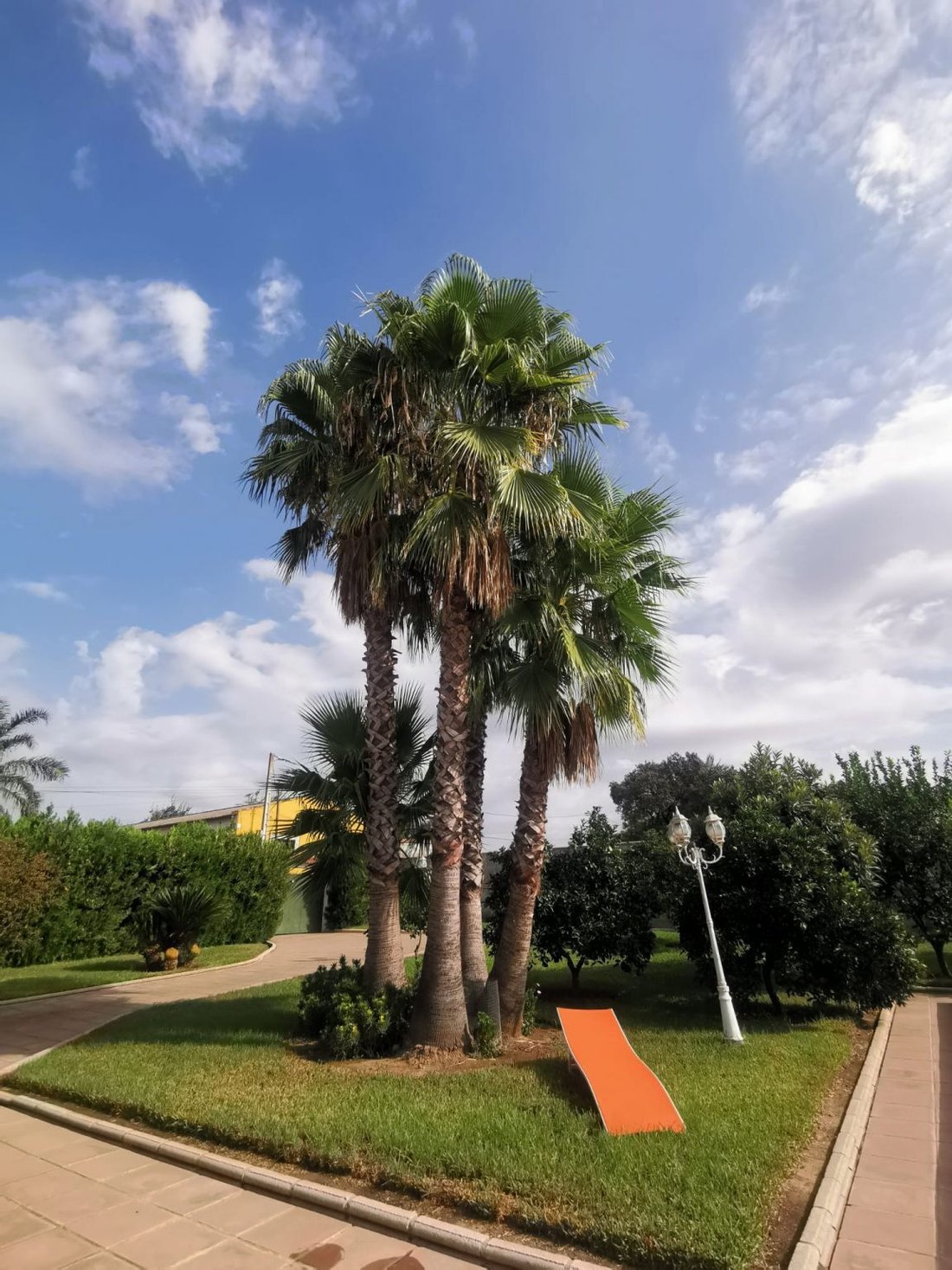 House in Cordoba, Andalusia, Spain 5 - 15101274