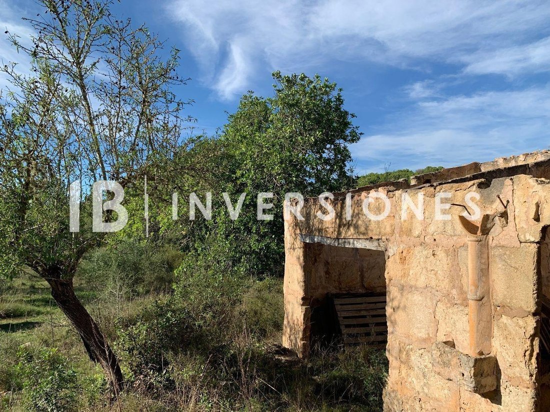 Land in Capdepera, Balearic Islands, Spain 3 - 15100193