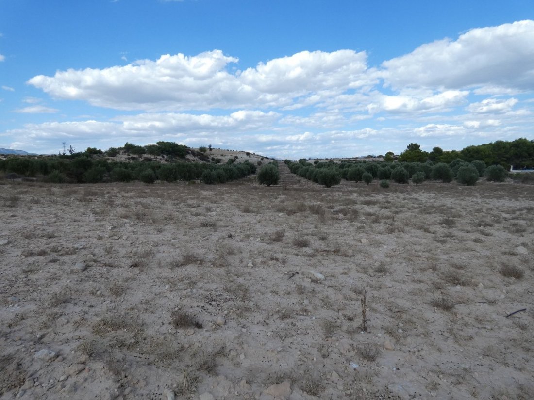 Land in Molina de Segura, Región de Murcia, Spain 5 - 15099946