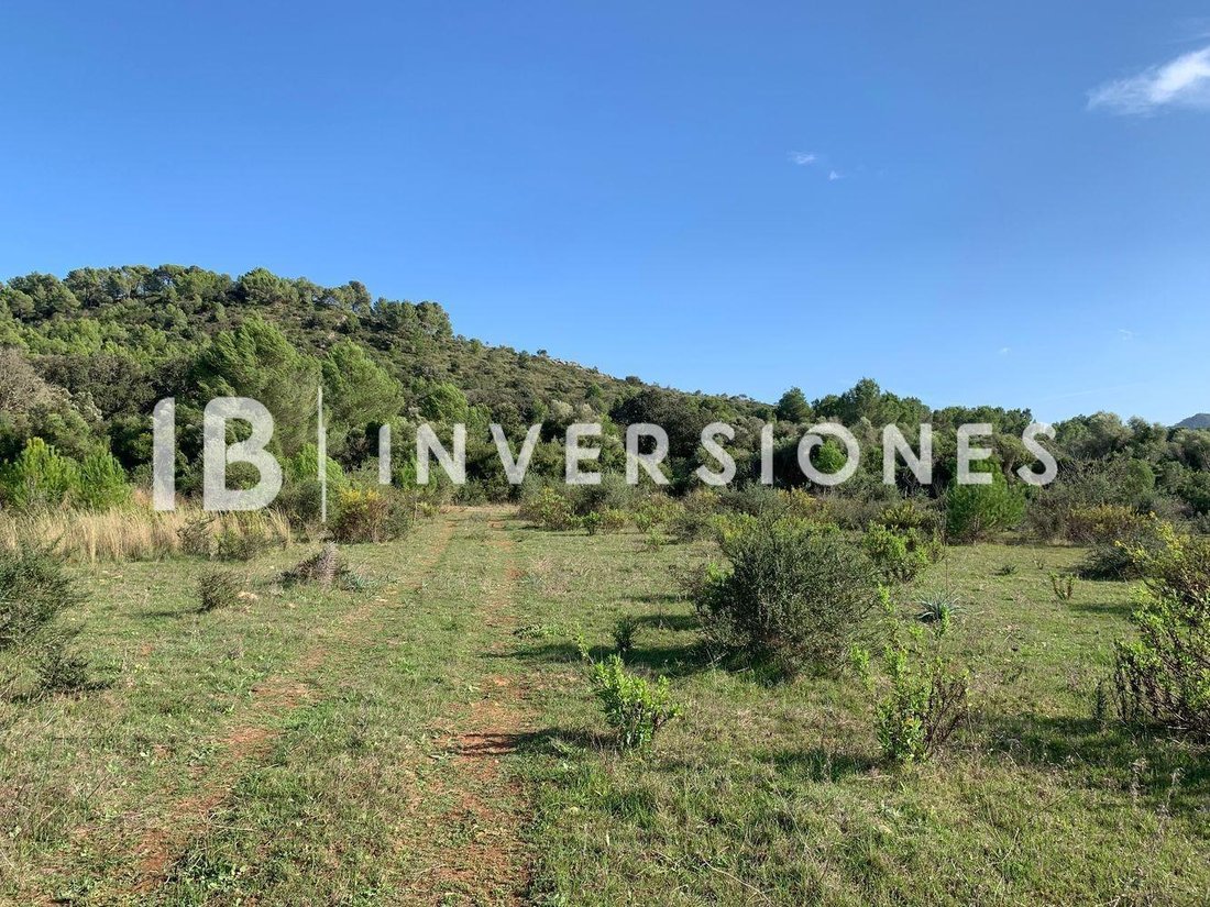 Land in Capdepera, Balearic Islands, Spain 5 - 15100193
