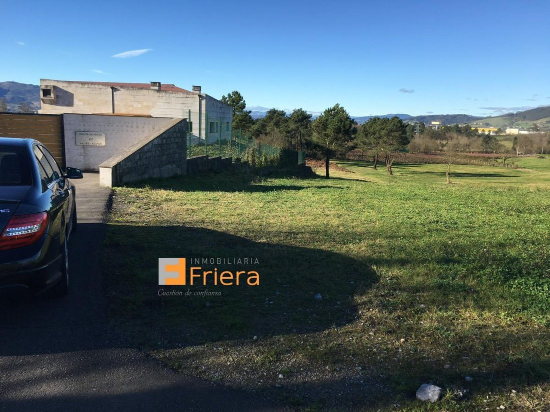 Land in Llanera, Asturias, Spain 5 - 15100763