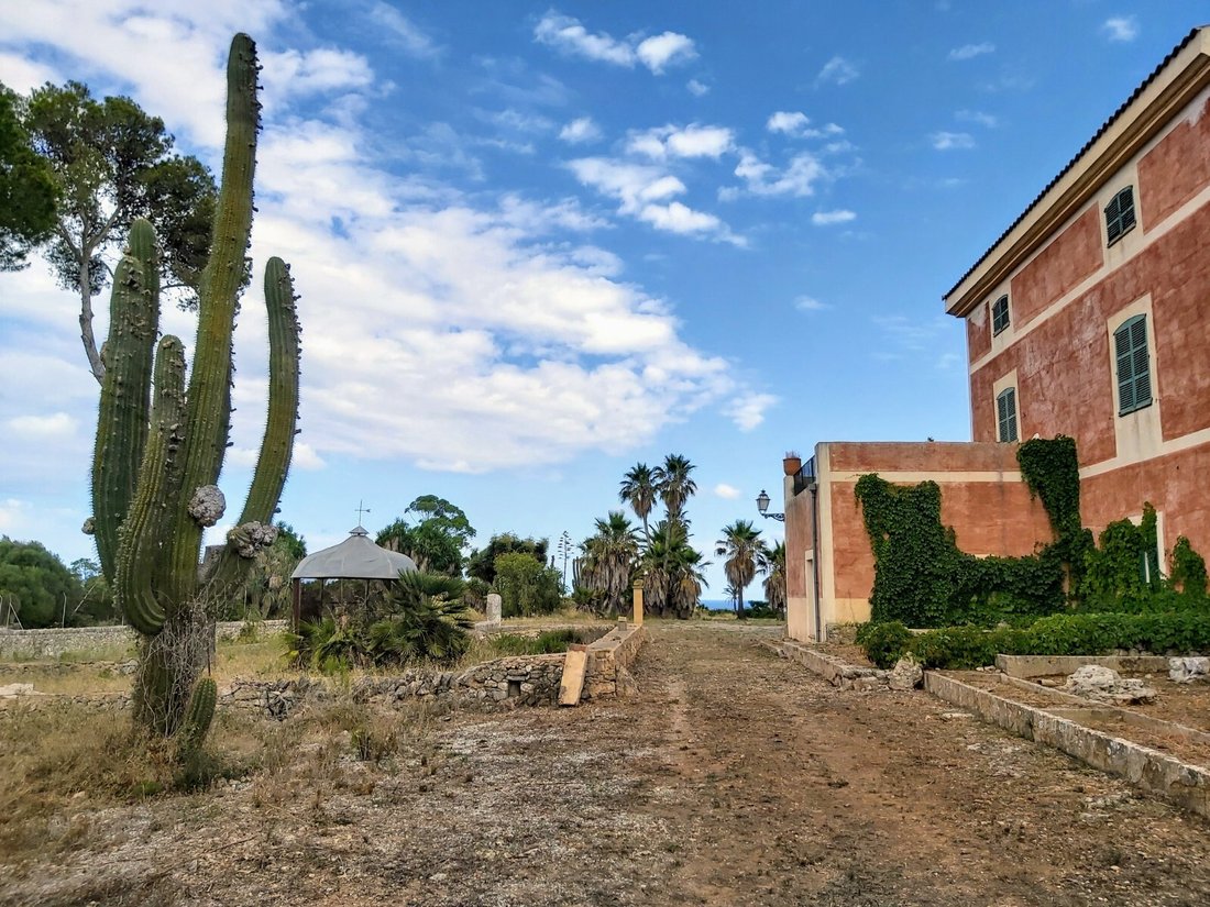 Estate in Manacor, Balearic Islands, Spain 3 - 15104913