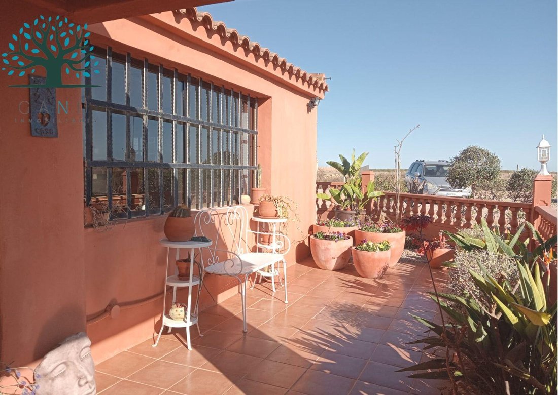 Country House in Canovas, Fuente Alamo de Murcia, Spain 4 - 15101066