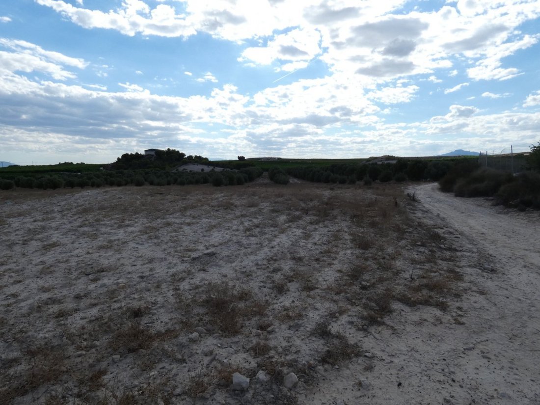 Land in Molina de Segura, Región de Murcia, Spain 3 - 15099946