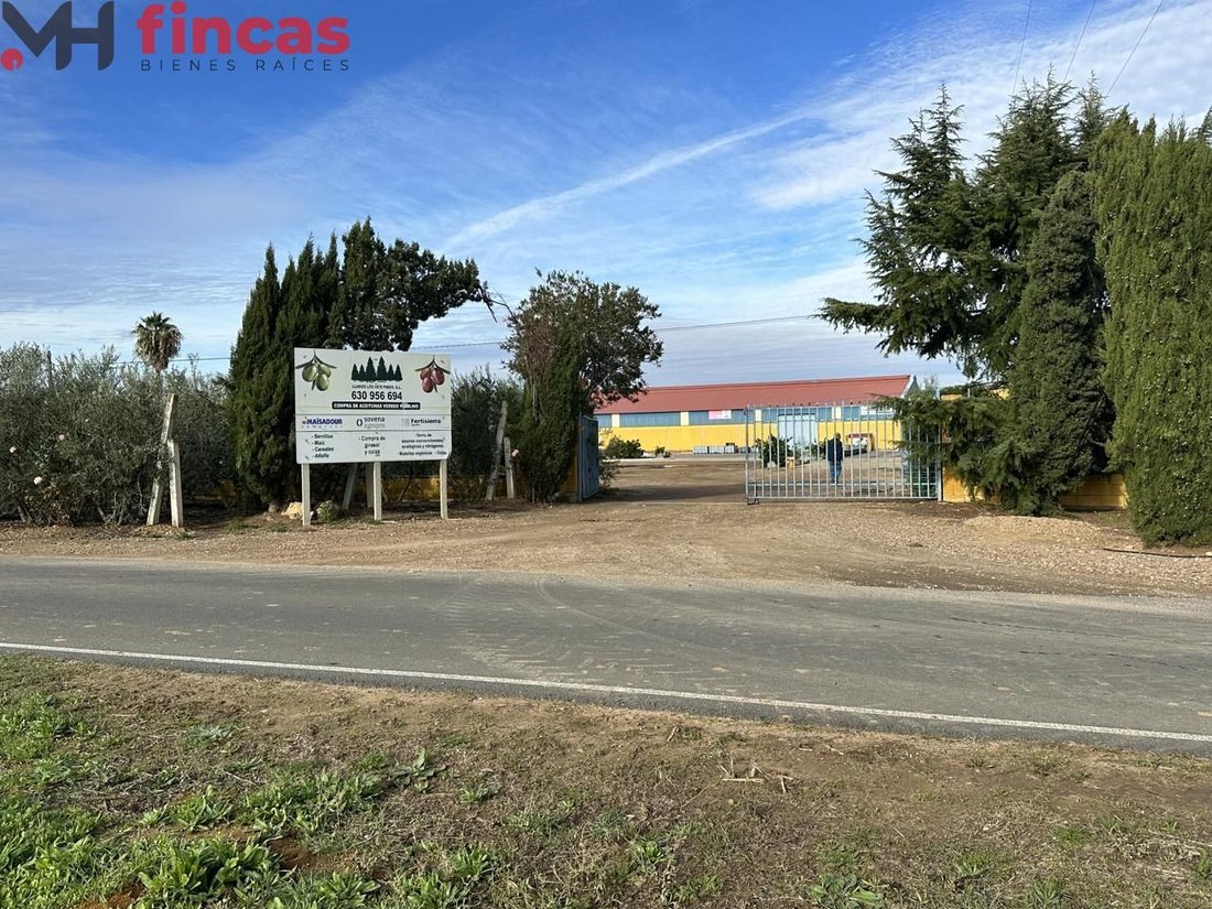 Villa in Villagonzalo, Extremadura, Spain 2 - 15100822