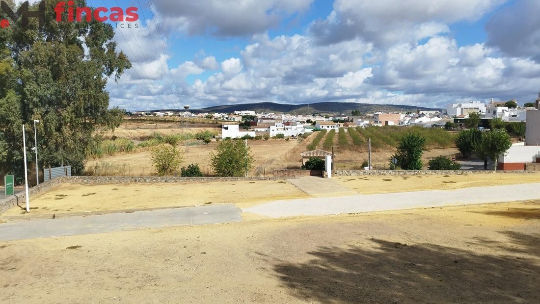 Burguillos, Andalusia, Spain 4 - 15100810