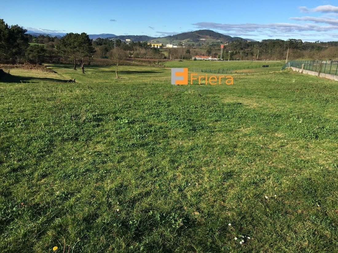 Land in Llanera, Asturias, Spain 4 - 15100763