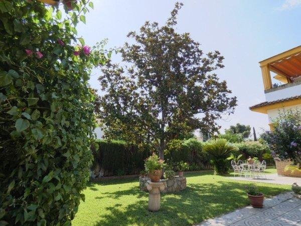 Villa in Córdoba, Andalusia, Spain 5 - 15101315