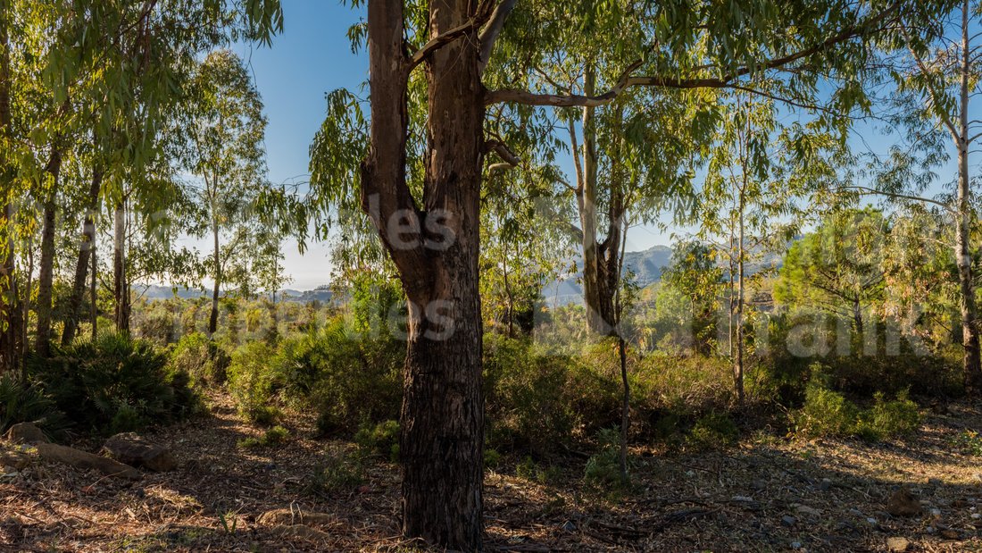 Land in La Zagaleta, Benahavis, Andalusia 4 - 15098463