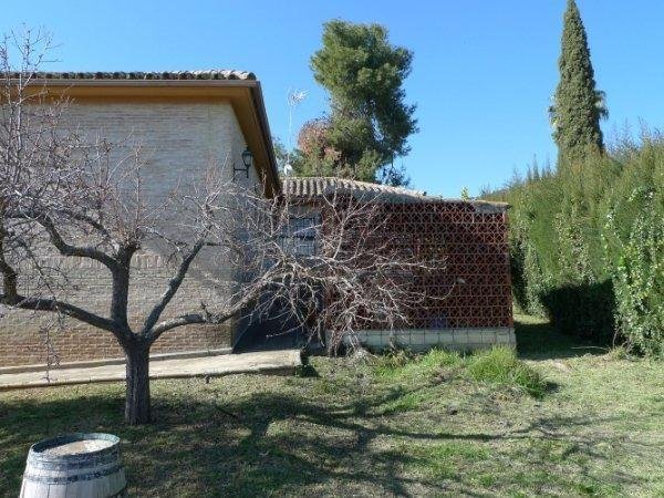 Villa in Córdoba, Andalusia, Spain 5 - 15101396